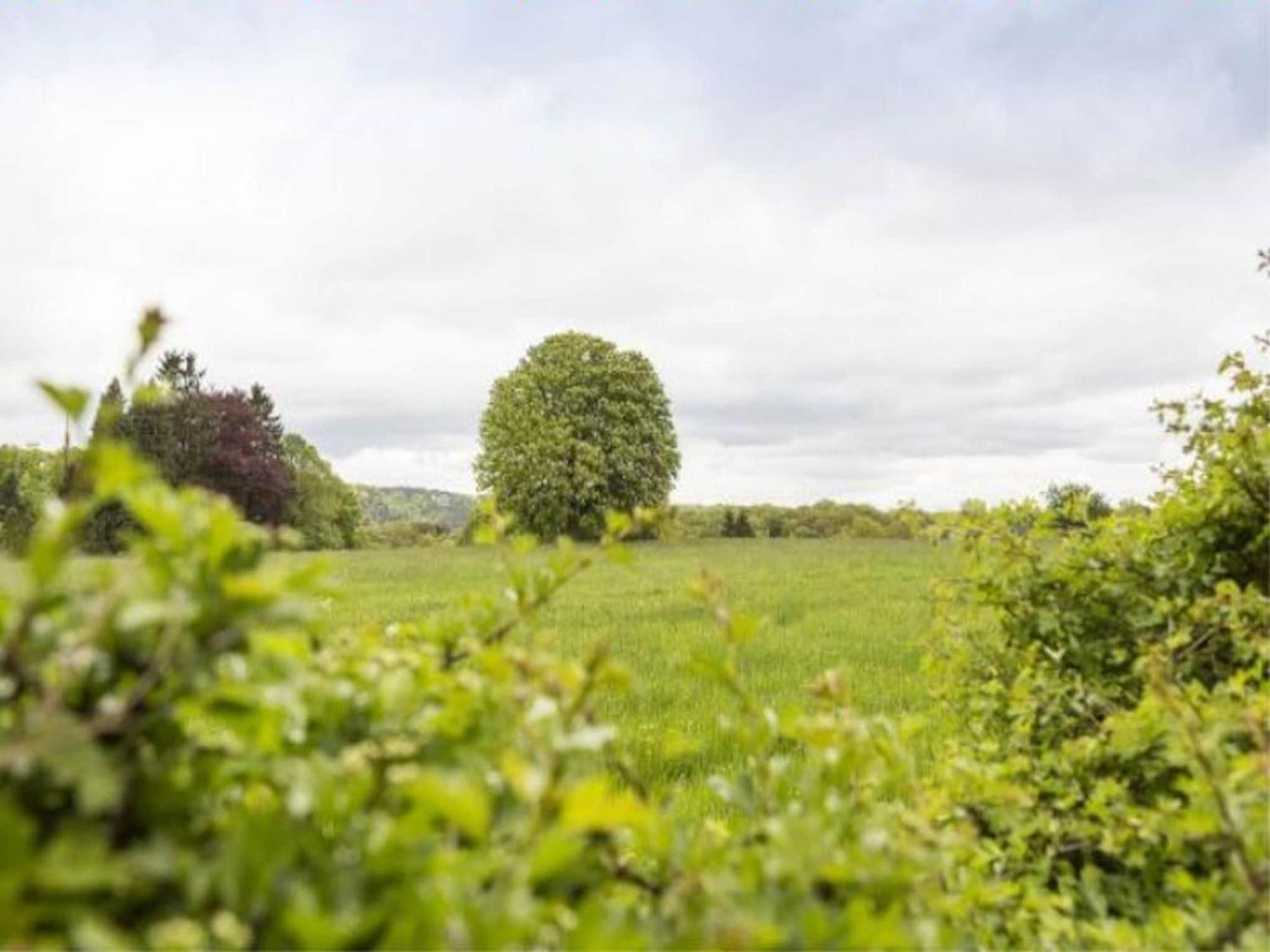 Fabulous Mansion In Spa Liege With Private Garden *