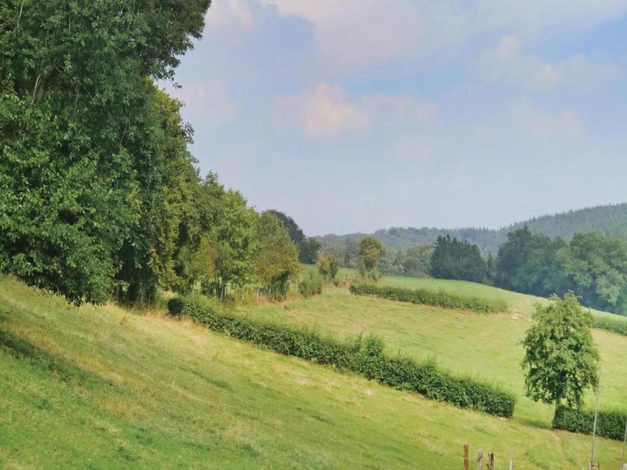 Fabulous Mansion In Spa Liege With Private Garden *